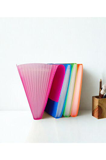 Limmy Bellows File with 13 Section Pockets - Pink