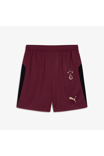 Puma Gsk Shorts Replica W/B W/Osp Men's Sports Shorts