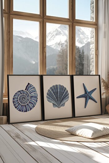 Postifull Black Painting Set, 3 Pieces Black Framed Poster Seashells Model No:300890, Blue Wall Decor