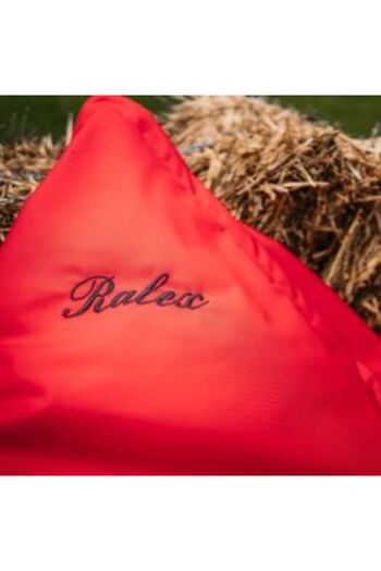 Ralex Garden pillow filled with silicone puff and polystyrene pearls 120 x 140 cm semi-waterproof - Red