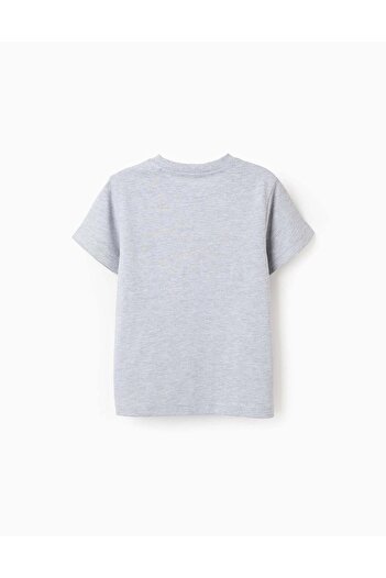 Ziddy Cotton T-shirt with Avengers Motif for Boys, Grey