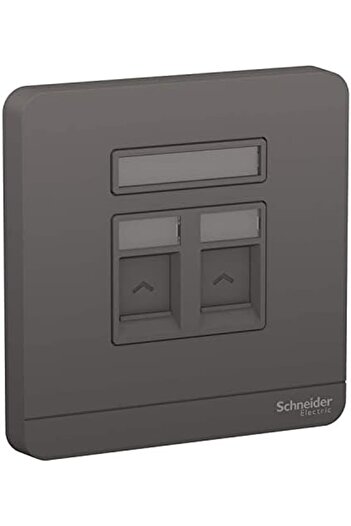 Schneider Electric AvatarOn E8332RJS_DG 1 Gang 2 Keystone Wallplate Jack RJ-45 رمادي داكن