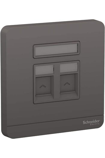 Schneider Electric AvatarOn E8332RJS_DG 1 Gang 2 Keystone Wallplate Jack RJ-45 رمادي داكن