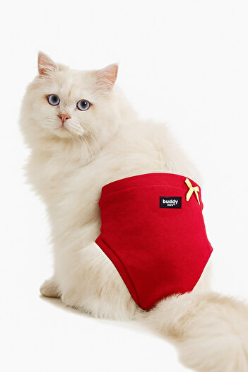 Buddy Store Cat Outfit Clothes Panties - Red Panties No Print - Size m