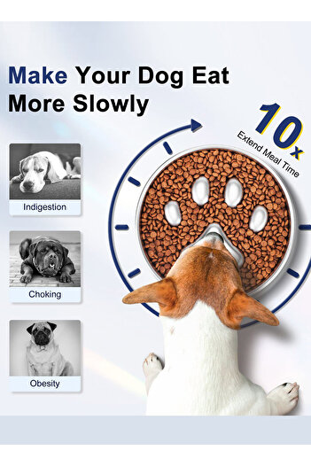 KidLe Stainless Steel Slow Feeder Dog Bowl Dog Food Bowl for Small and Medium Breeds