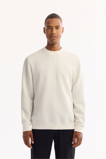 Avva Men's Regular Fit Ecru Crew Neck Striped Jacquard Sweatshirt A52Y1220