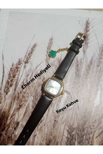 QUARTZ Minimal Vintage Women's Wristwatch Retro Model Dark Coffee Cord Charmli Bb0026