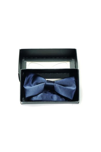 Dufy Navy Blue Ceremony Accessory for Men - 94483