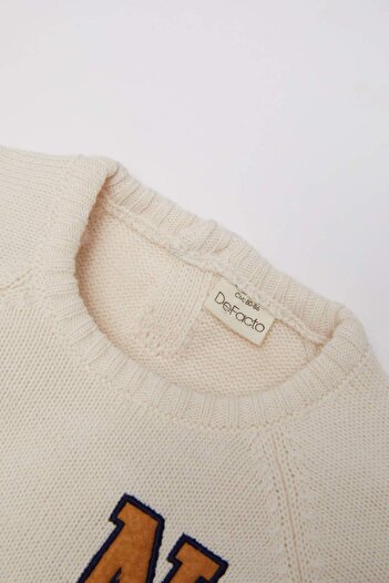 DeFacto Baby Boy Crew Neck Embroidered Sweater Sweater C8870A524Wn