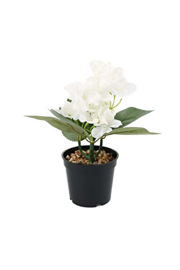 Ella Home Aranjament In Ghivechi, Beautiful, Alb, 26cm - Alb, Plastic, 26cm