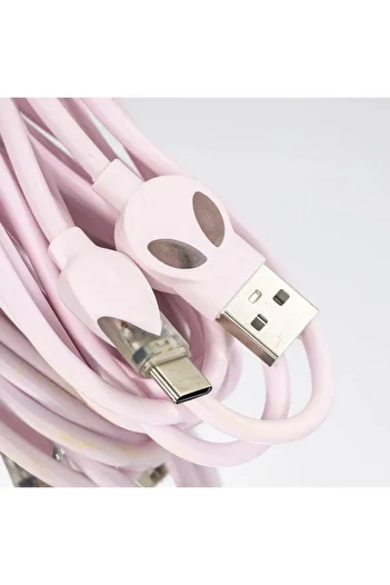 GALASUN Data and Charging Cable GALA21-474 Pink