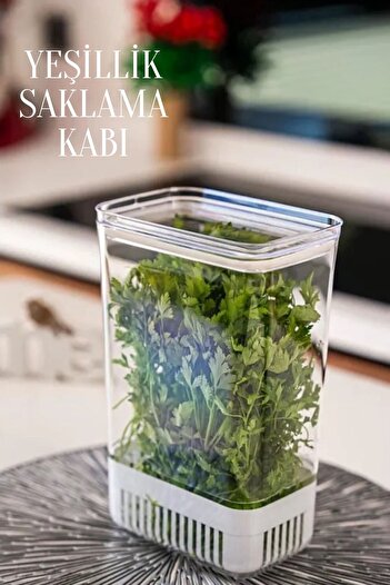 Rotanev 1 Piece 2900 ml Greenery Storage Container |   Vegetable Storage & Refrigerator Freshener Organizer Box
