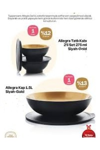 Tupperware Allegra Berrak 1.5 Litre ve 2 Adet 275 Ml Kase Gold Siyah