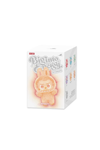 Pop Mart Lapopo Popmart Surprise Box - 1 Piece Big into Energy Series