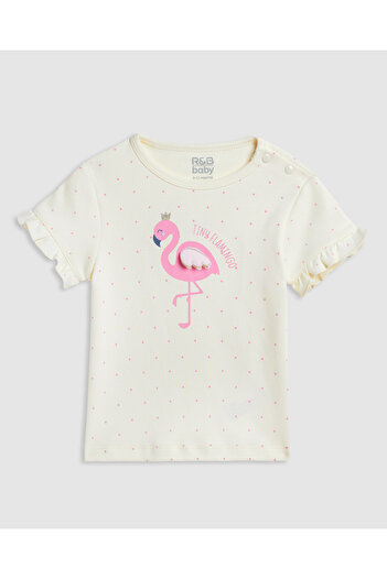 R&B Appliqued Top and Shorts Set