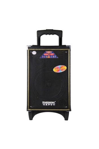 Temeisheng Boxă audio portabilă A8, USB, card SD