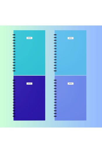 edinotes 4-Piece A4 School Notebook - 2 Checkered and 2 Lined