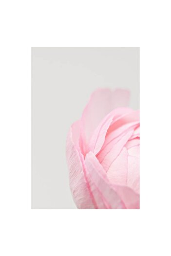OEM Tablou Canvas, 'Petale delicate de primavara roz', 100 x 150cm