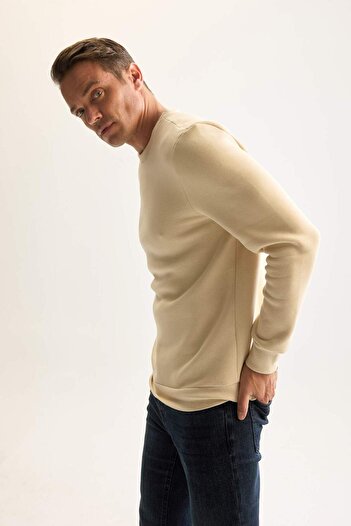 DeFacto 3 İplik Pamuklu Şardonlu İçi Polarlı Regular Fit Bisiklet Yaka Kalın Sweatshirt D7876AXNS