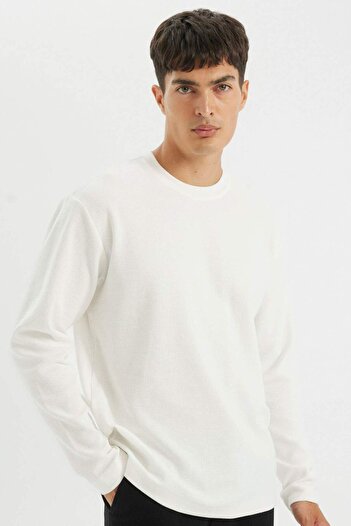 DeFacto Regular Fit Crew Neck Waffle Basic Solid Long Sleeve T-Shirt D2801Ax24Au