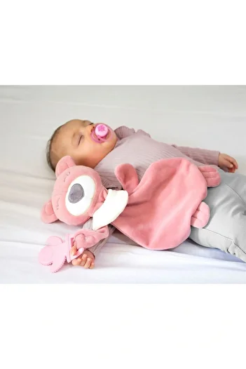 Babyjem Sleepy Bear with Teether Dried Rose