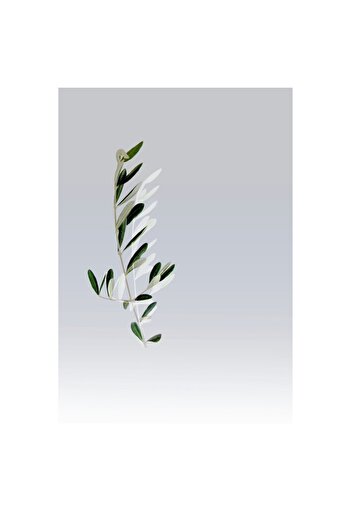OEM Tablou Canvas, 'Frunze delicate pe fond gri', Ramura, Frunze, Verde, Minimalism, Natura, Simplu, Ele