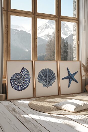 Postifull Wooden Painting Set, 3 Pieces Wooden Framed Poster Seashells Model No:300890, Blue Wall Decor
