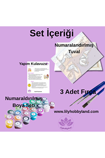 LİLYHOBBYLAND Sayılarla Boyama Hobi Seti Renkli Baskılı Kasnağa Gerili 60x75 cm: Sahil Yolu