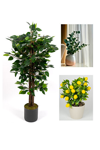 YAPAY ÇİÇEKÇİNİZ Dekoratif 3’lü Set: 100 cm Yapay Benjamin Ağacı + Şoklanmış Okaliptus Demeti + Yapay Limon – Ev & Of