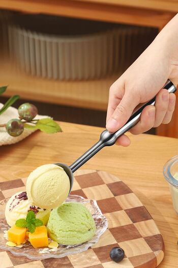 Chavin Complete 304 Steel Luxury Ice Cream Fruit Puree Spoon Mt197