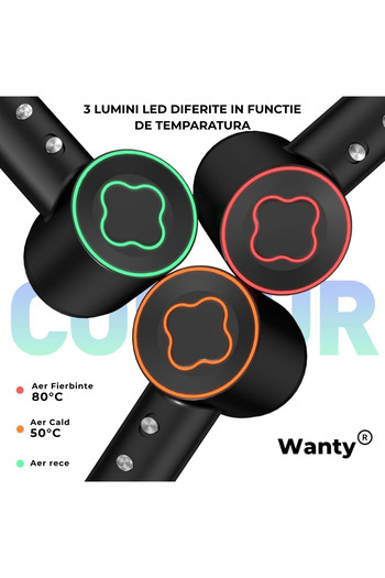 Wanty Uscator de Par Ionic Profesional Wanty®, Feon, 150.000 RPM, 1500W