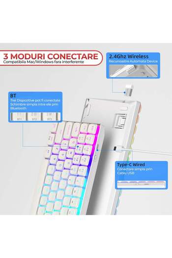 Timebox Mechanical Gaming Keyboard, Wireless, 2.4G, Bluetooth, RGB lighting, 84 Ultra-Slim keys, with Type-