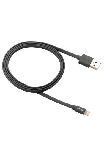 CANYON Cablu de date CNS-MFIC2DG, Lightning, 1m
