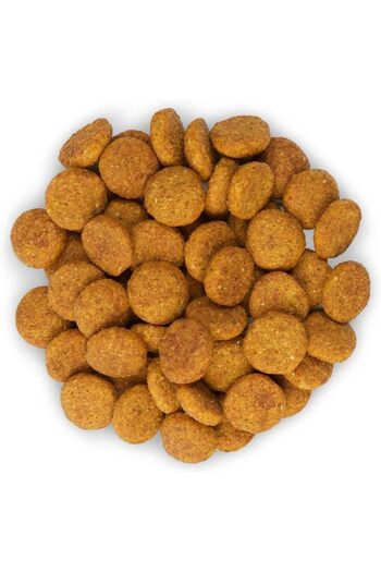Hill's Science Plan Adult Perfect Weight Large Breed Dog Food with Chicken - 12KG