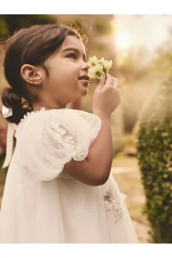 Next Baby Ivory Short Sleeve Butterfly Pattern Dress