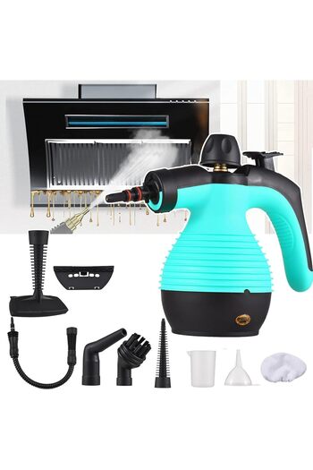 Denx Portable High Pressure Steam Cleaner, With 9PCS Accessory, 110V, 350ml, 1050W, Deep Cleaning