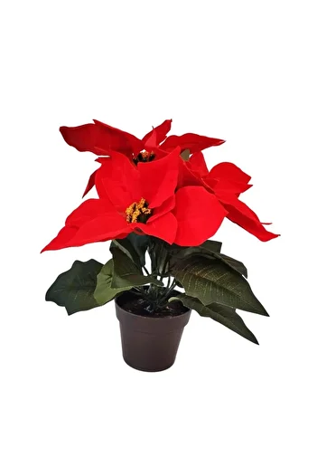 Koopman Planta artificiala Craciunita, Azay Design, inaltime 28cm, cu petale rosii textile, in ghiveci negru