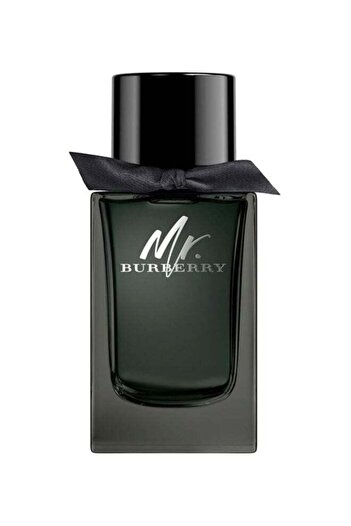BURBERRY Mr. Eau de Parfum 150ml