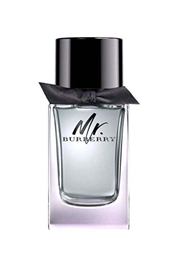 BURBERRY Mr. Burberry Perfume 100ml