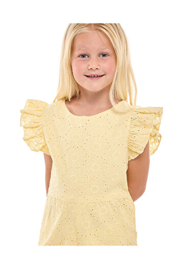 R&B Schiffli Playsuit with Crew Neck and Flutter Sleeves