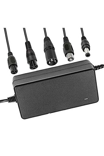 VTM Li-ion Charger 67.2V/2A with 5 Heads for Electric Scooters, Bicycles, Hoverboards, Scooters