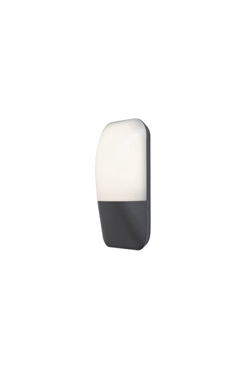 Rabalux Outdoor sconce Ecuador LED, metal, glass, anthracite, 800 lm, neutral light (4000K), 7996,