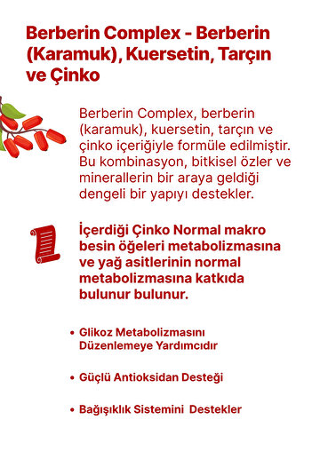 anocin Berberin Complex ( Quercetin+Zinc ) Karamuk Berberis Vulgaris