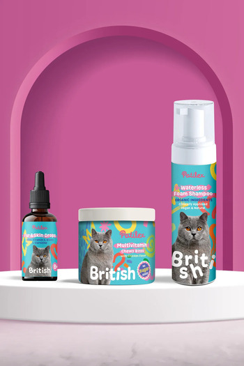 Patilex British Kedilere Özel Kuru Şampuanı, Shorthair Longhair için, Tüy Sağlığı, Döküm Dökülmesi Önleyici