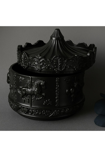 rakaymu Black Jewelry & Jewelry Box Carousel Special Design Organizer