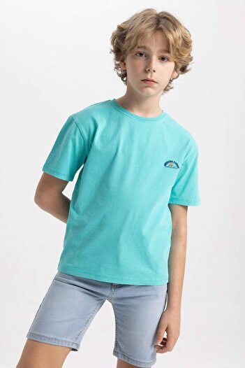 DeFacto Boy's Crew Neck Embroidered Short Sleeve T-Shirt C1918A824SM