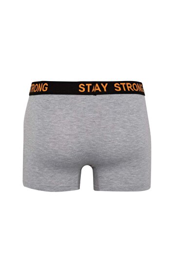 DeFacto Regular Fit 3lü Boxer B7887AX24SM