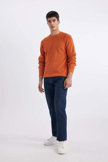 DeFacto Standard Fit Regular Cut Crew Neck Basic Plain Knitwear Sweater A8458Ax24Sp