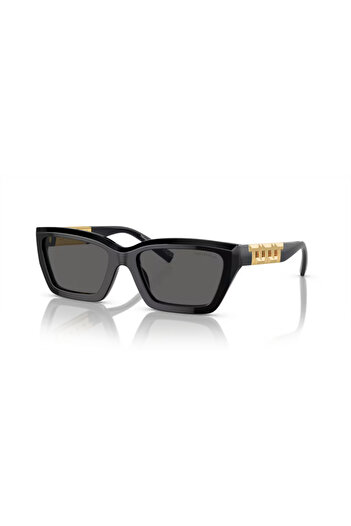 Tiffany &Co. Tf 4213 8001S4 54 Women's Sunglasses