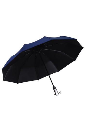 OEM Folding umbrella for women/men, Portable, Windproof, Blue